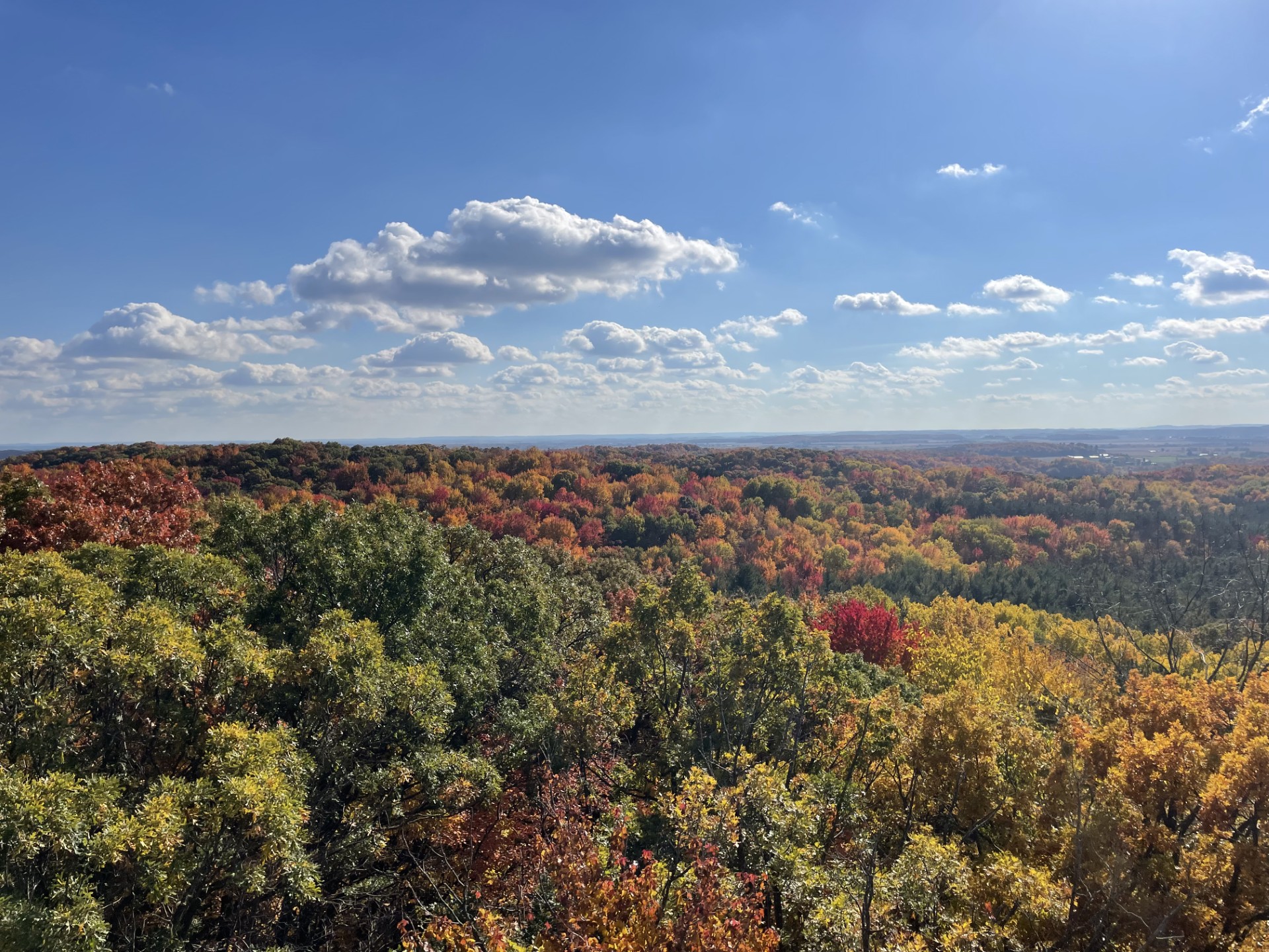 Hoffman Hills during the Fall, my favorite season.